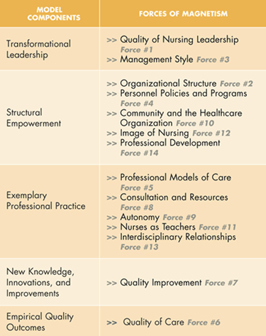 Magnet Forces Represented Infographic Magnet Forces Represented Infographic