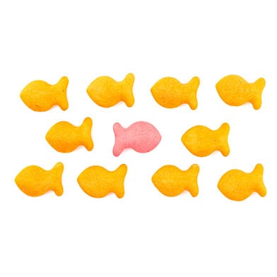 An image of a group of goldfish shaped crackers on a white background. All the crackers are orange except for one cracker in the middle which is pink and facing the opposite direction from all the other crackers.